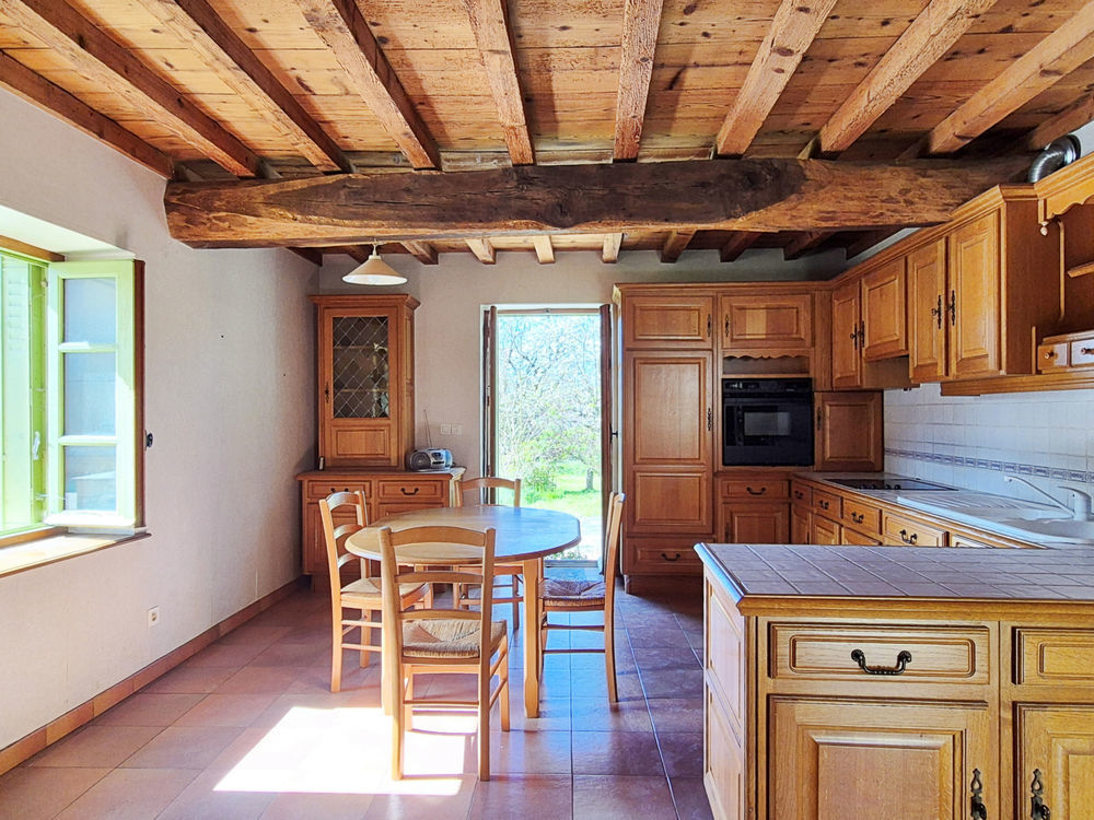 � vendre  Propri�t�/ch�teau Tramoyes (01390)