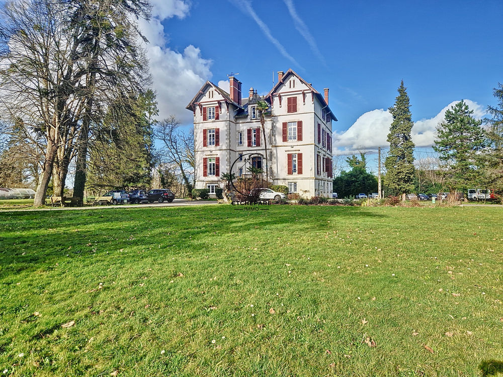 � vendre  Propri�t�/ch�teau Espiute (64390)