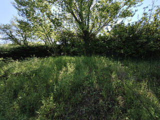  Terrain � vendre 607 m�