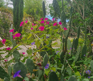  Maison � vendre 4 pi�ces 148 m�