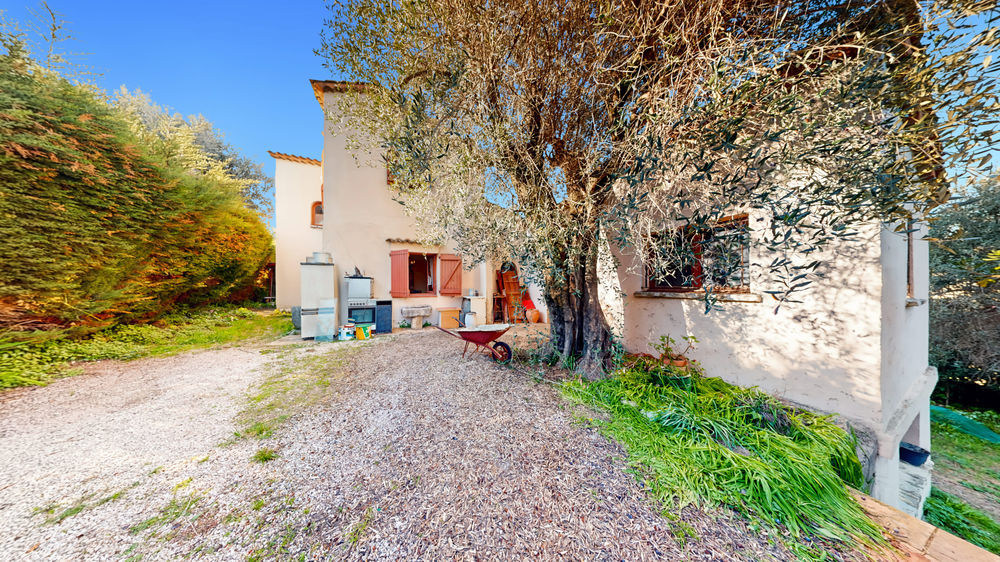 � vendre  Maison Falicon (06950)