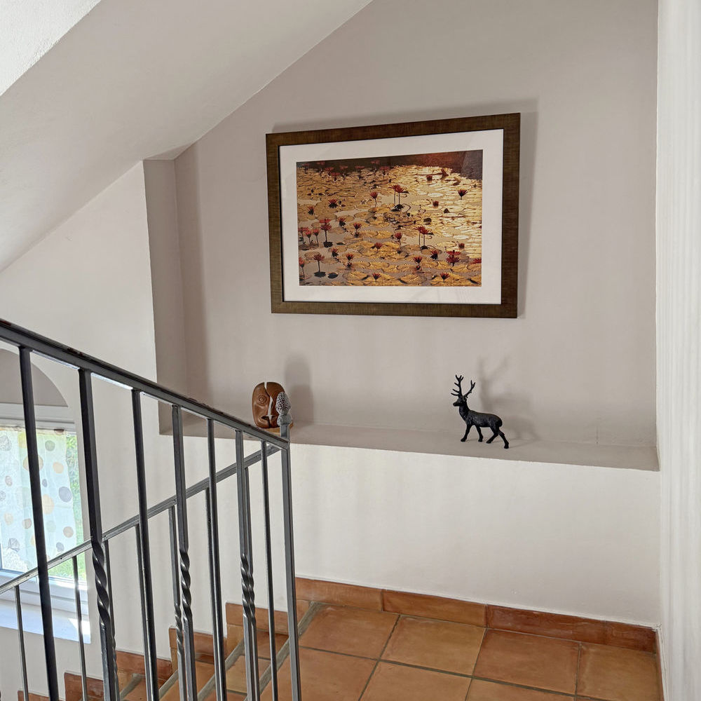 � vendre  Propri�t�/ch�teau Villeneuve-de-Berg (07170)