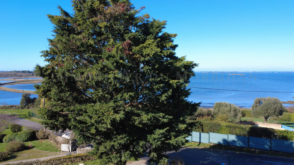 � vendre  Maison Sarzeau (56370)