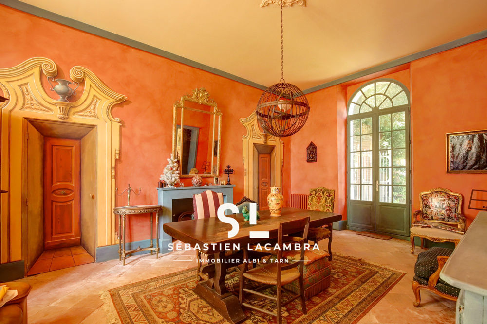 � vendre  Propri�t�/ch�teau Rivi�res (81600)