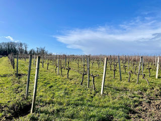  Terrain � vendre 41229 m�