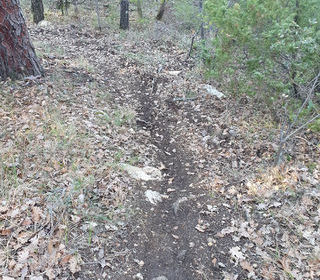  Terrain � vendre 20000 m�