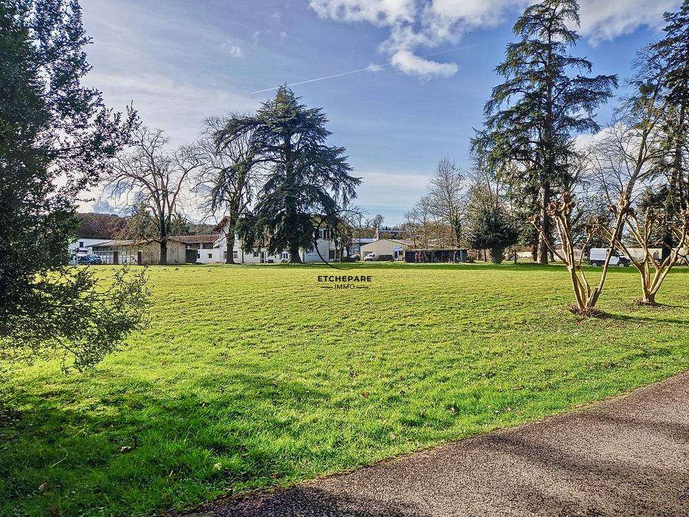 � vendre  Propri�t�/ch�teau Espiute (64390)