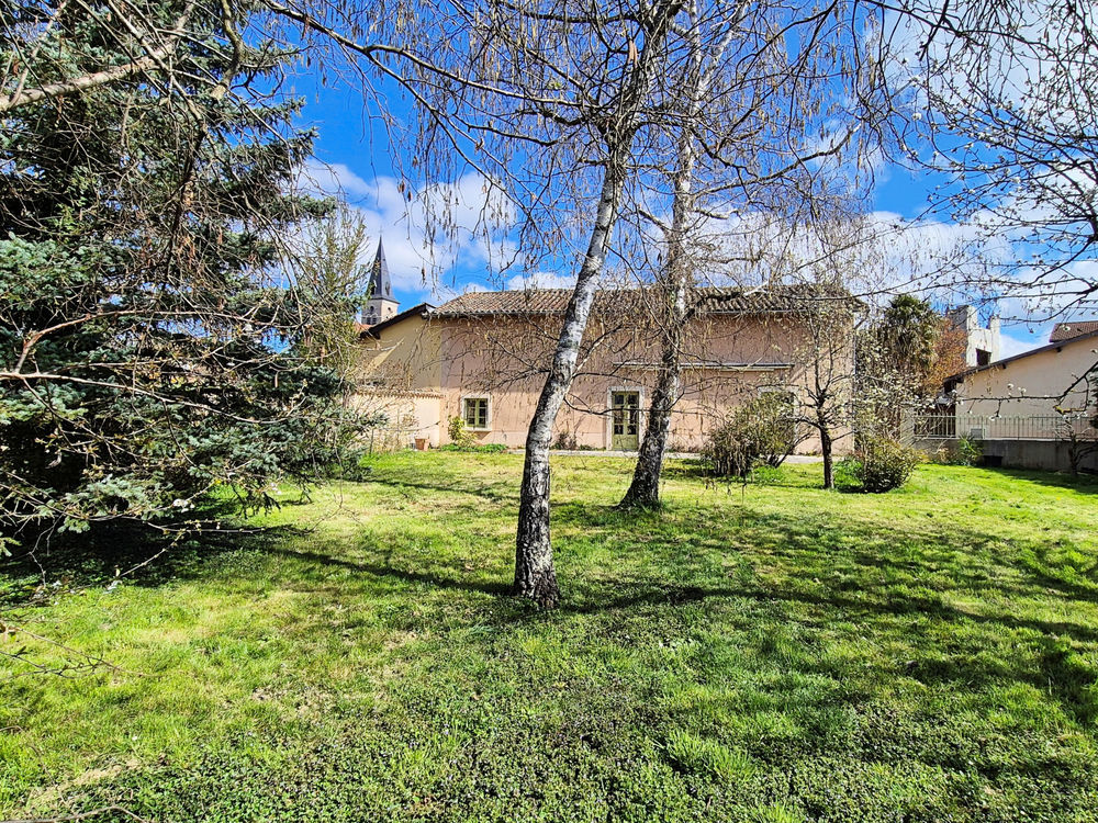 � vendre  Propri�t�/ch�teau Tramoyes (01390)