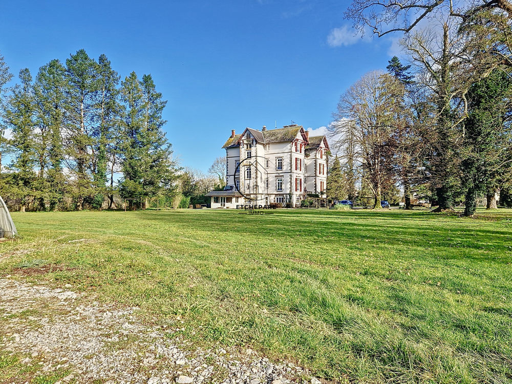 � vendre  Propri�t�/ch�teau Espiute (64390)