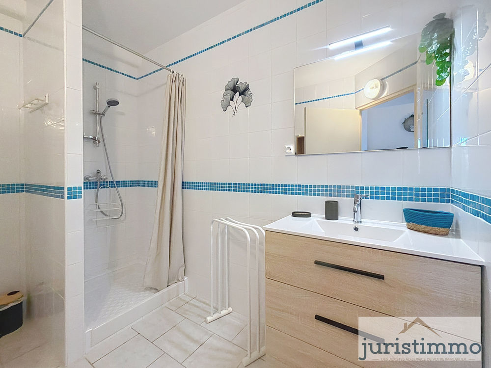 � vendre  Propri�t�/ch�teau Saint-Romain-en-Viennois (84110)