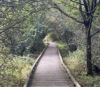  Terrain � vendre 1200 m�