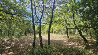  Terrain � vendre 2800 m�