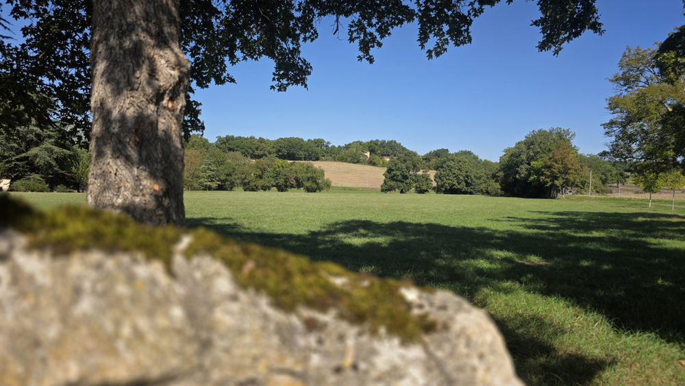 � vendre  Propri�t�/ch�teau Montr�al (32250)