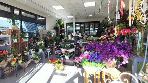 Fonds de commerce de fleuriste, belle visibilit&eacute; et potentiel de d&eacute;veloppement 60000 17770 Brizambourg