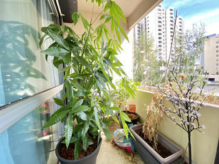  Appartement � vendre 4 pi�ces 96 m�