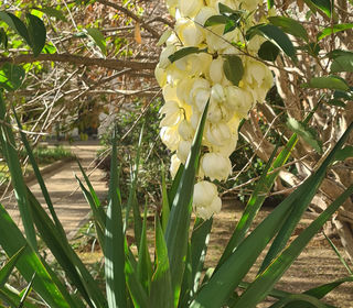  Appartement � vendre 3 pi�ces 70 m�