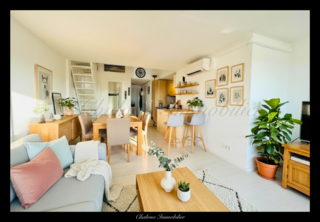  Duplex/triplex � vendre 3 pi�ces 65 m�