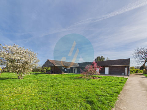   Long�re en bois 300m2, 5 chambres, chenils, boxes � chevaux sur 2 hectares clos entre champs et for�t Propri�t�/ch�teau - 8 pi�ce(s) - 189 m�