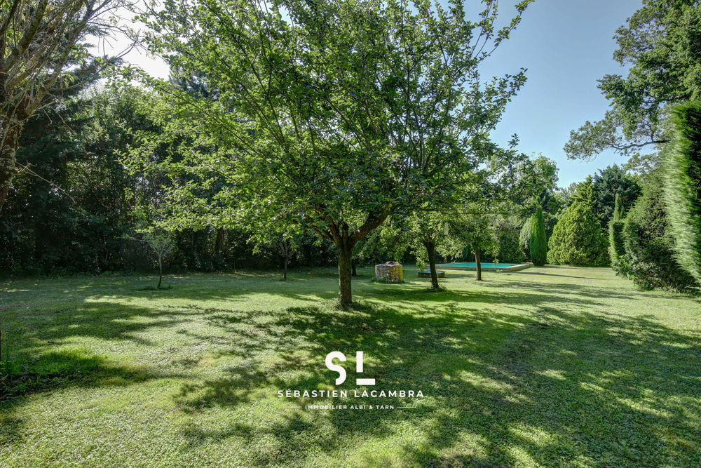 � vendre  Propri�t�/ch�teau Rivi�res (81600)