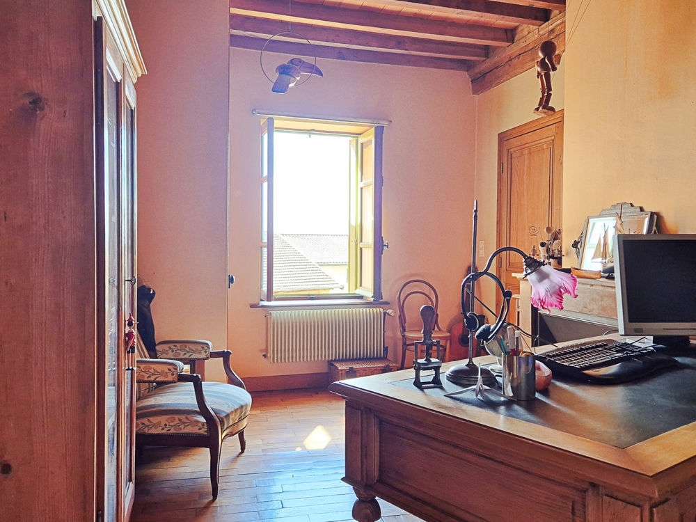 � vendre  Propri�t�/ch�teau Tramoyes (01390)