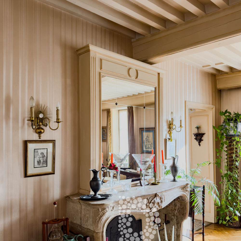 � vendre  Propri�t�/ch�teau La Roche-Vineuse (71960)