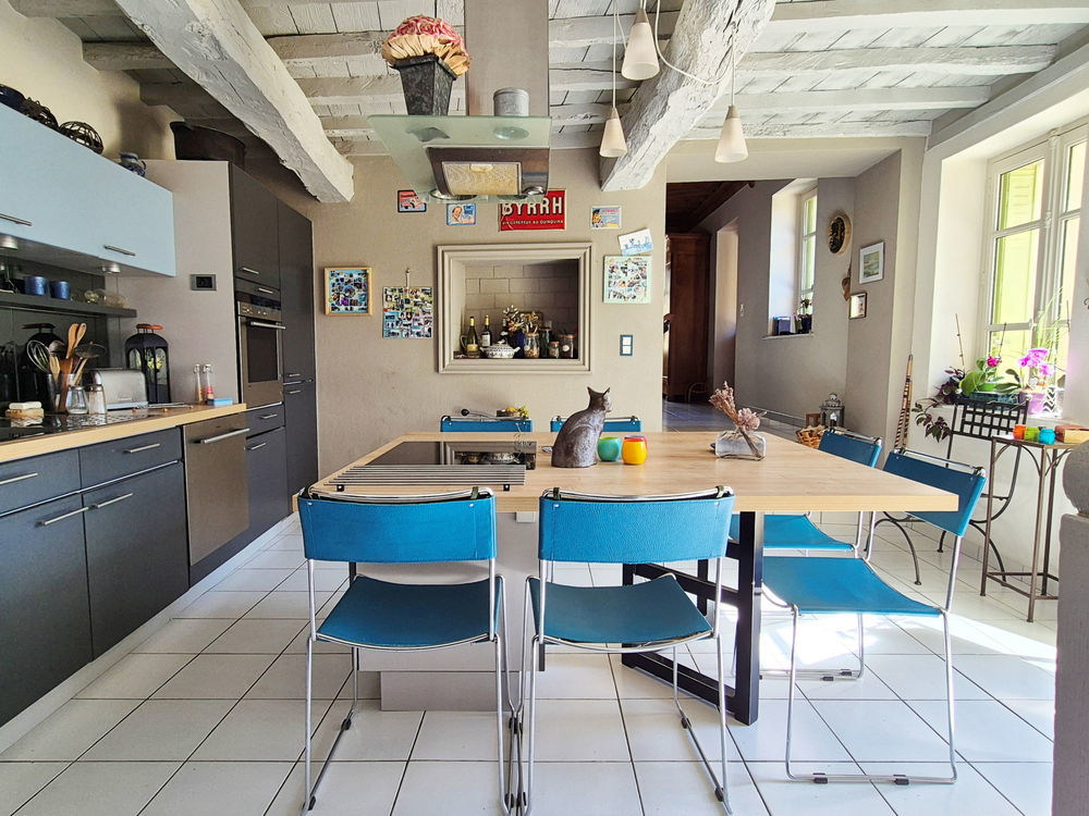 � vendre  Propri�t�/ch�teau Tramoyes (01390)