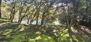  Propri�t�/ch�teau � vendre 4 pi�ces 138 m�