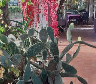  Maison � vendre 4 pi�ces 148 m�