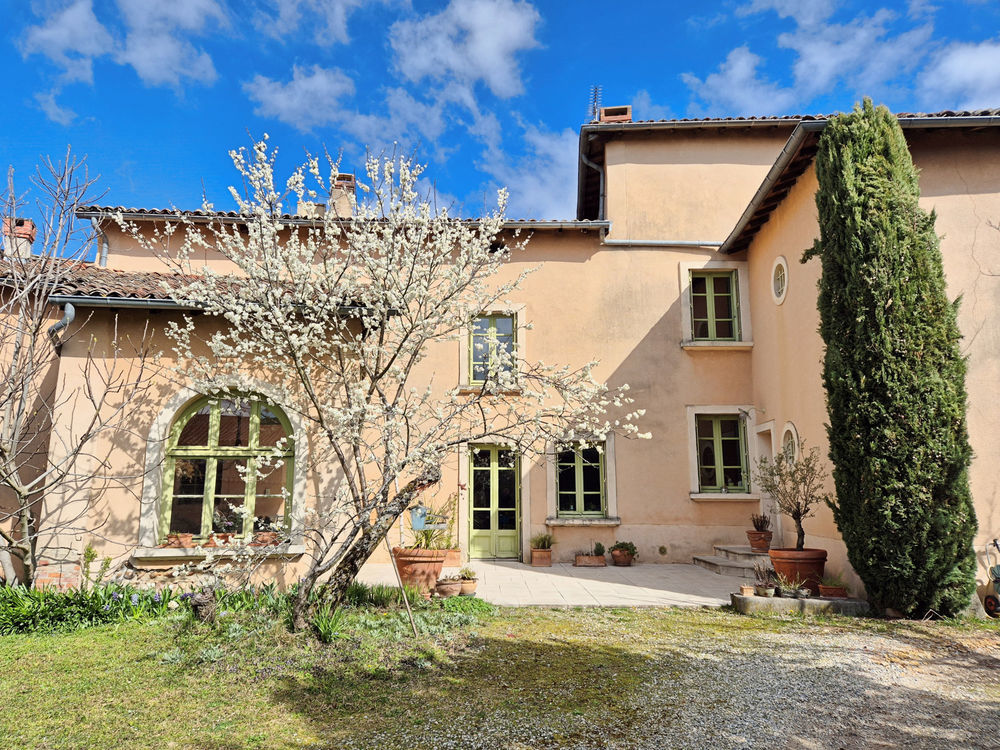 � vendre  Propri�t�/ch�teau Tramoyes (01390)