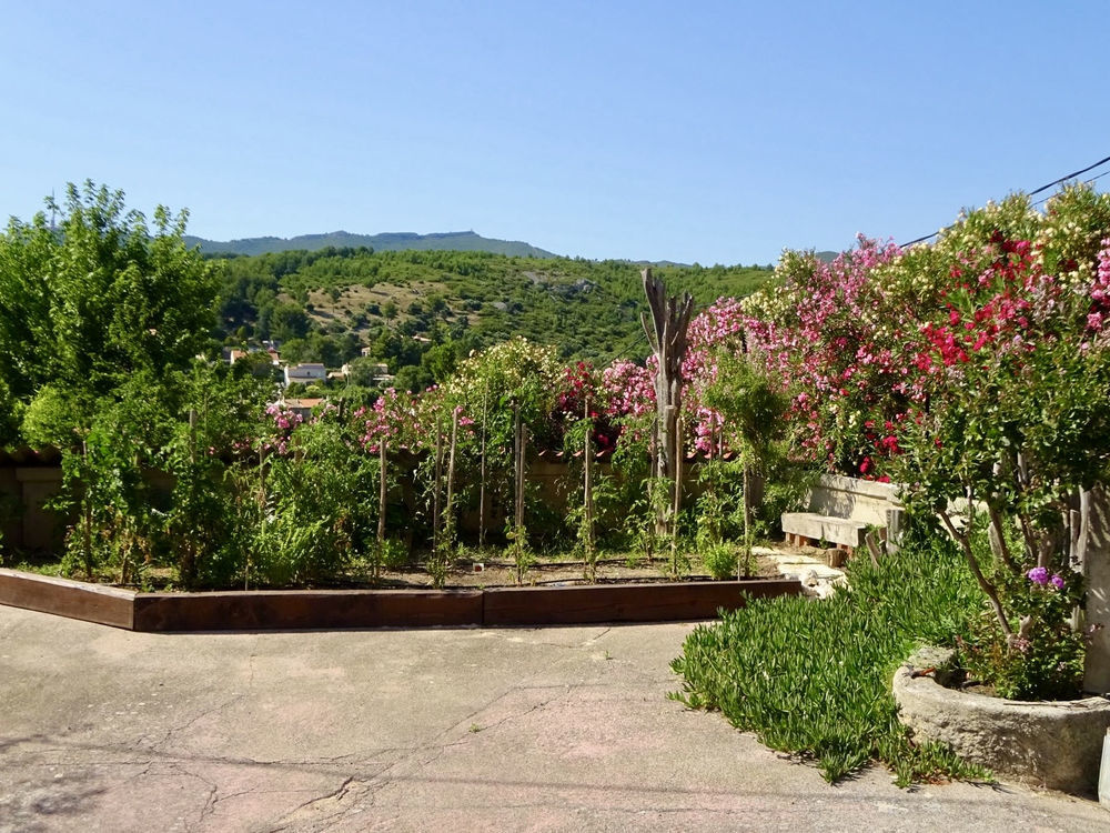 � vendre  Maison Chateau Gombert (13013)