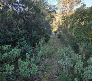  Terrain � vendre 1500 m�