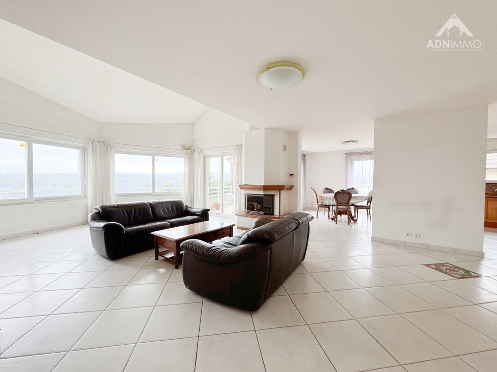 � vendre  Maison Pougny (01550)