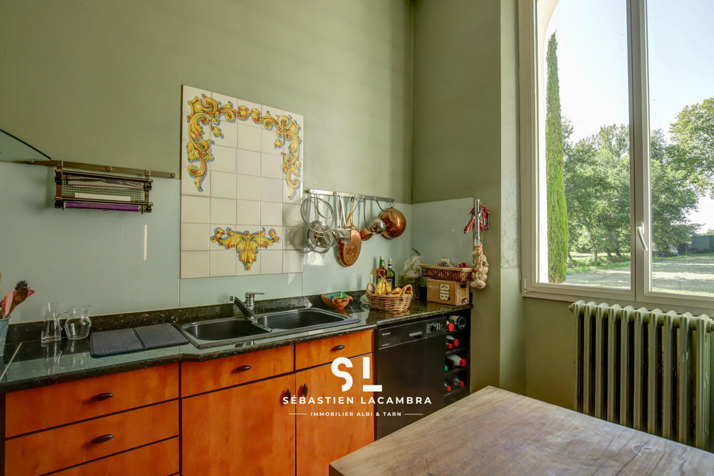 � vendre  Propri�t�/ch�teau Rivi�res (81600)