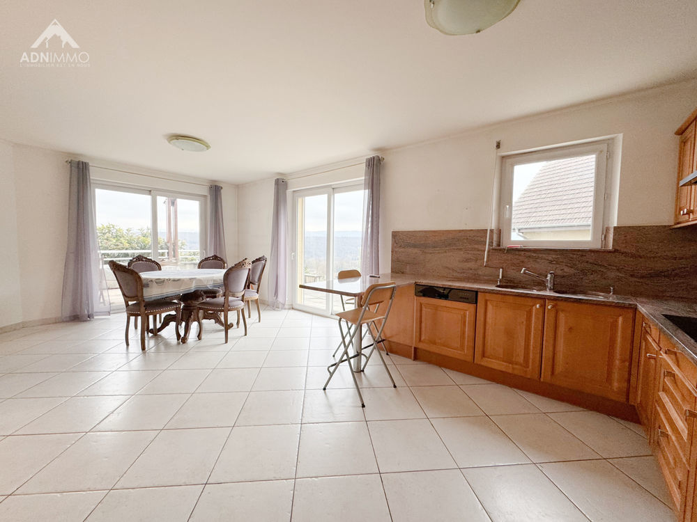 � vendre  Maison Pougny (01550)