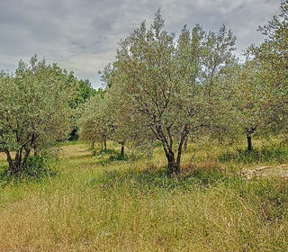  Maison � louer 5 pi�ces 126 m�