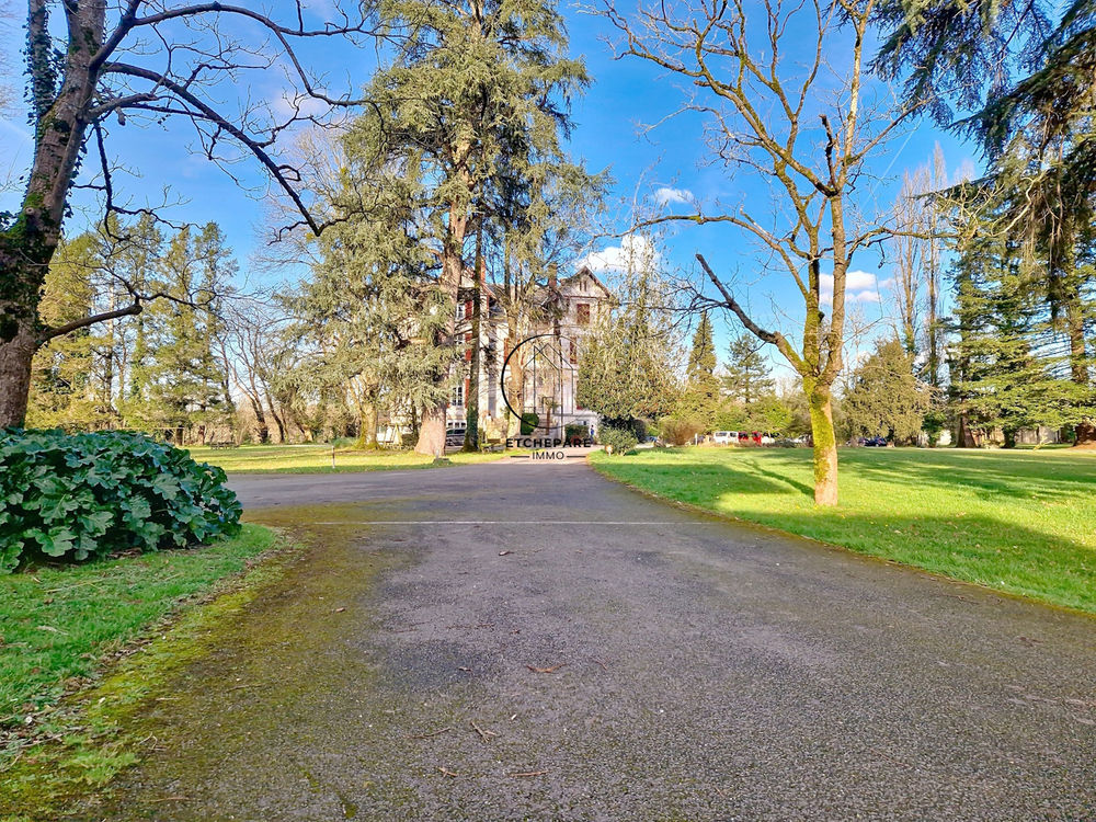 � vendre  Propri�t�/ch�teau Espiute (64390)