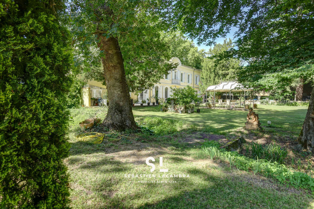 � vendre  Propri�t�/ch�teau Rivi�res (81600)