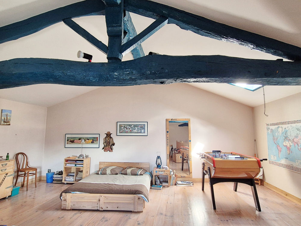 � vendre  Propri�t�/ch�teau Tramoyes (01390)