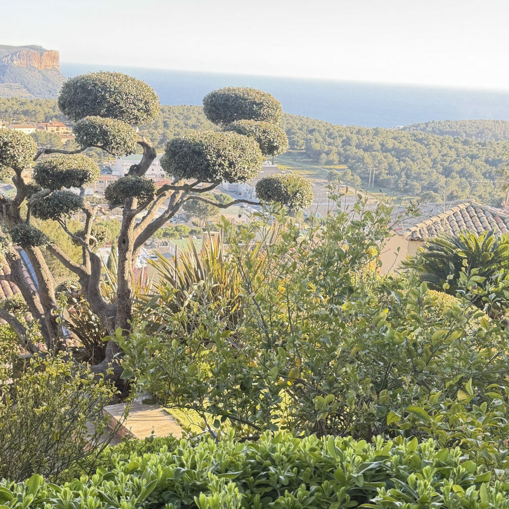 � vendre  Maison Carnoux-en-Provence (13470)