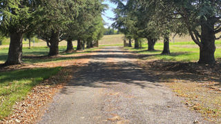  Propri�t�/ch�teau � vendre 12 pi�ces 400 m�