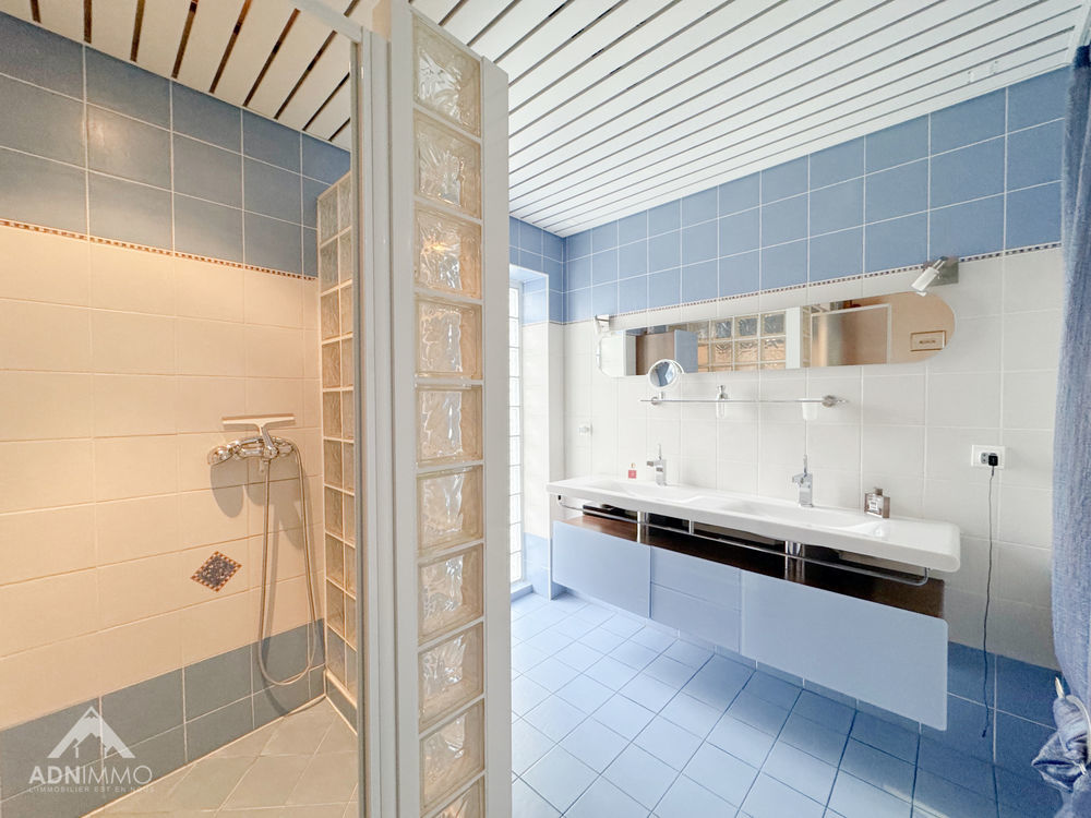 � vendre  Maison Pougny (01550)