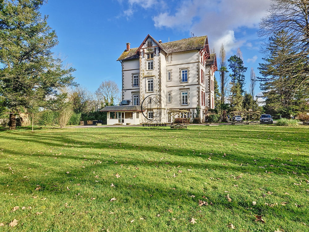 � vendre  Propri�t�/ch�teau Espiute (64390)