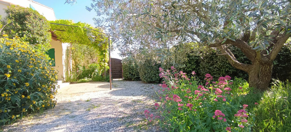 � vendre  Propri�t�/ch�teau Saint-Romain-en-Viennois (84110)