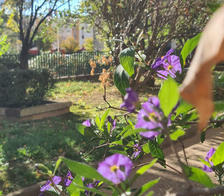  Appartement � vendre 3 pi�ces 70 m�