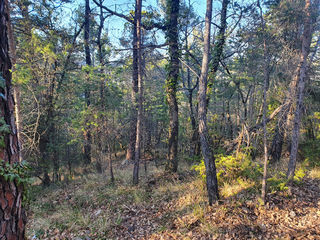  Terrain � vendre 20000 m�