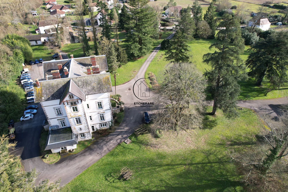 � vendre  Propri�t�/ch�teau Espiute (64390)