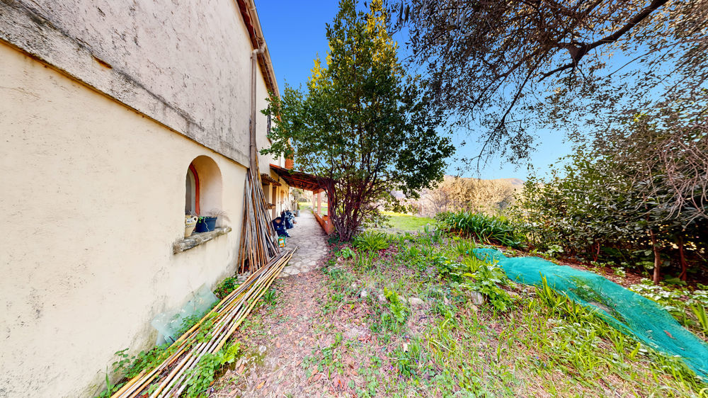 � vendre  Maison Falicon (06950)