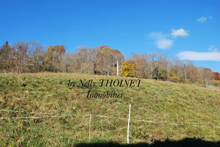  Terrain � vendre 2547 m�