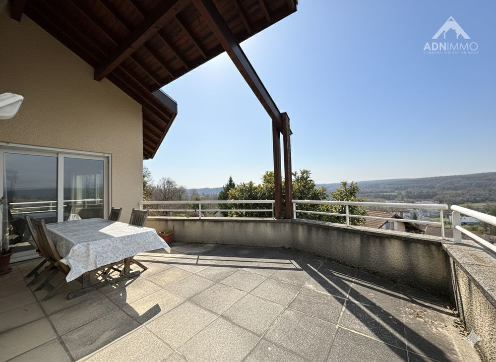 � vendre  Maison Pougny (01550)