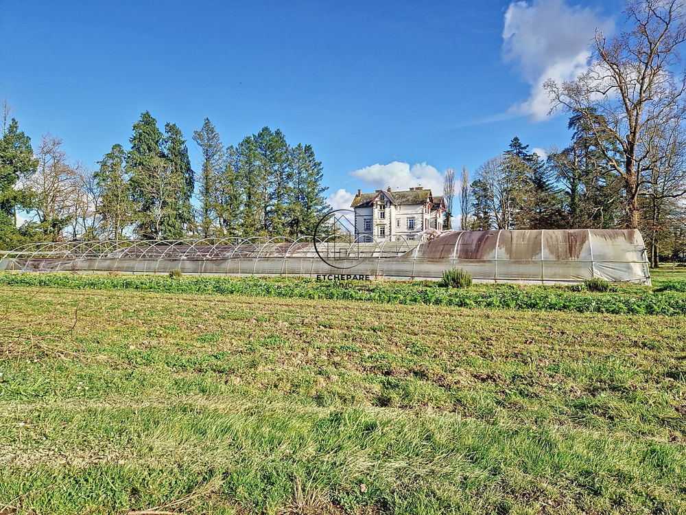 � vendre  Propri�t�/ch�teau Espiute (64390)